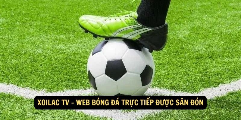 Xoilac TV - web bóng đá trực tiếp được săn đón
